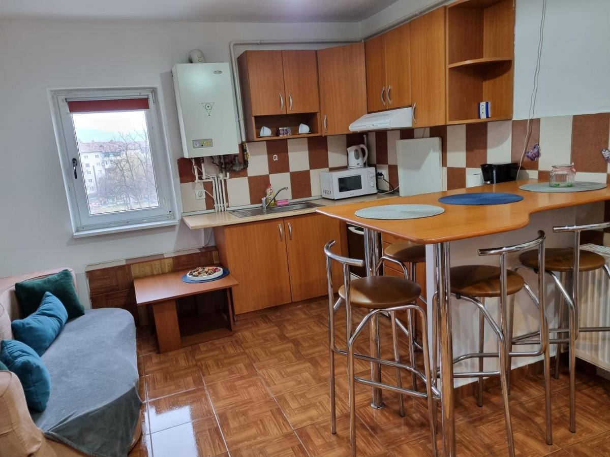 Ferienwohnung Marya'S Râmnicu Vâlcea Exterior foto