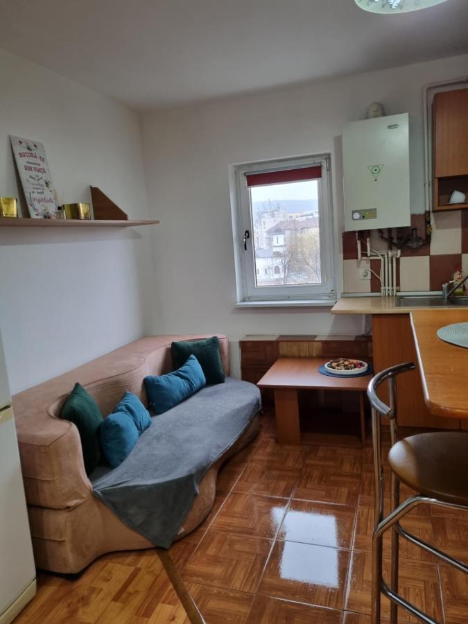Ferienwohnung Marya'S Râmnicu Vâlcea Exterior foto